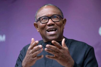 Peter Obi is a drowning man, he should find better vocation to do - Presidency