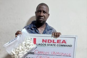 Lagos drug lord Uwagbale busted while giving accomplice 93 cocaine wraps to swallow