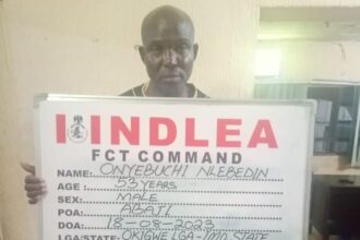 NDLEA intercepts fake $20 million enroute Abuja from Lagos