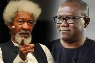 Soyinka drops bombshell: Peter Obi didn't win 2023 presidential election