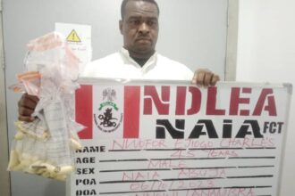 Drug trafficker Nwofor excretes 75 pellets of Cocaine, attempts to bribe NDLEA officer with $3,000