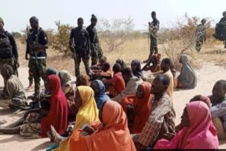 Nigerian troops rescue 31 kidnapped victims in Sokoto forest