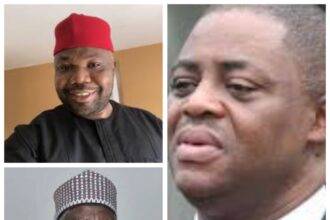 Allegations made against DSS boss Bichi by Jackson Ude false - Fani-Kayode