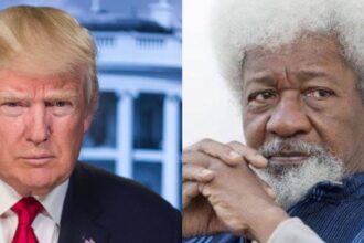 Soyinka reacts to Trump's conviction, may apply for Green Card restoration