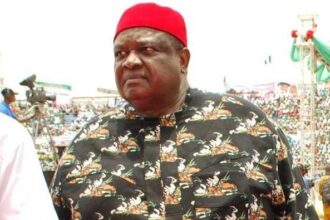Ohanaeze's President General Iwuanyanwu is dead