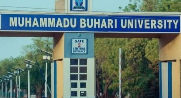 University of Maiduguri