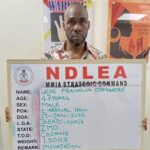 NDLEA