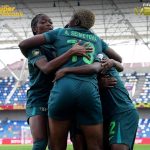Falconets