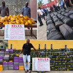 NDLEA